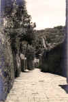04.jpg (148776 byte)