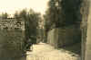 22.jpg (142763 byte)