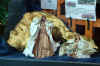 15.jpg (146295 byte)