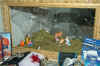 25.jpg (169263 byte)