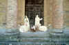 33.jpg (159982 byte)
