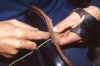 55.jpg (122214 byte)