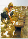17.JPG (201174 byte)